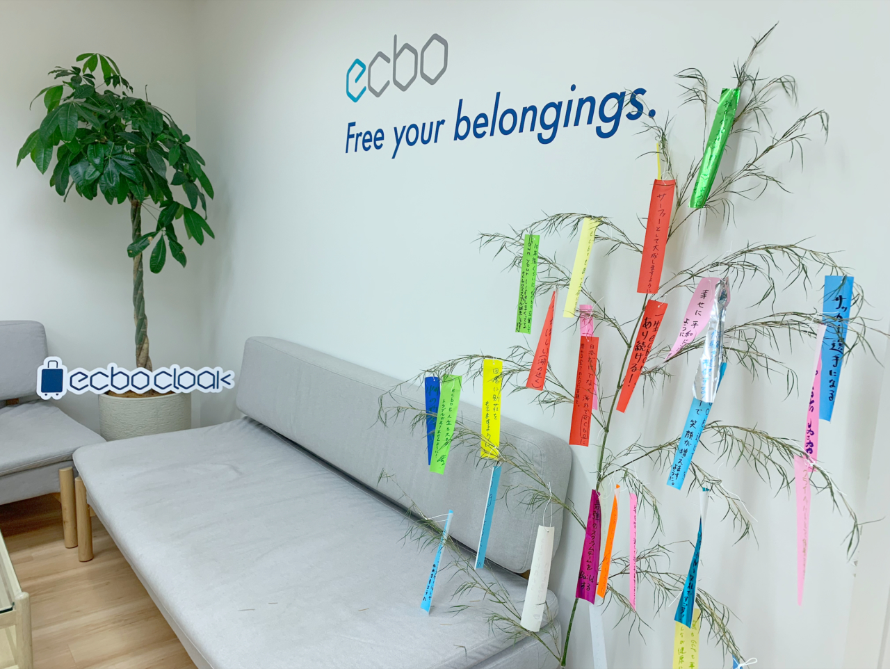 オフィスで星に願いを。ecboメンバーが七夕飾りにつるしたお願いごとは？　#ecboの裏側